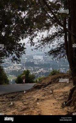  De Entoto Bergen! Een adembenemend panoramisch uitzicht over Addis Ababa