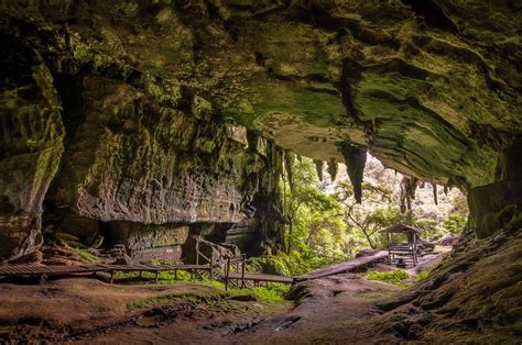 Niah Nationale Park: Een archeologische schat met spectaculaire grotten!