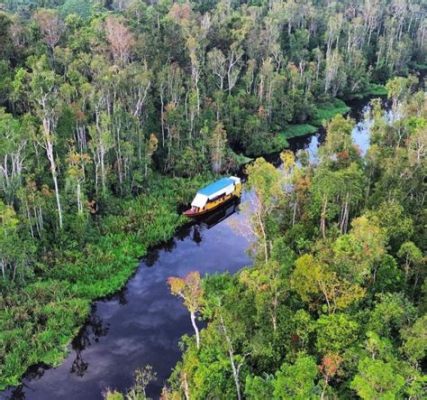 Wat is de verborgen schoonheid van Taman Nasional Tanjung Puting? Een natuurwonder vol orang-oetans!